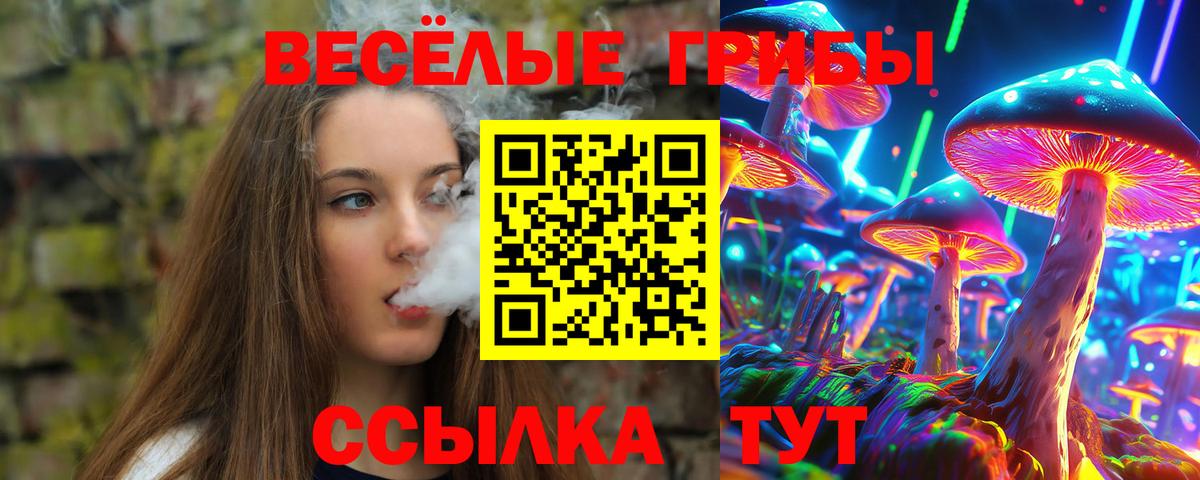 Архангельск  Галлюциногенные грибы прущие грибы  Вход с VPN 